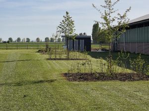 Ruimte genoeg op de camping